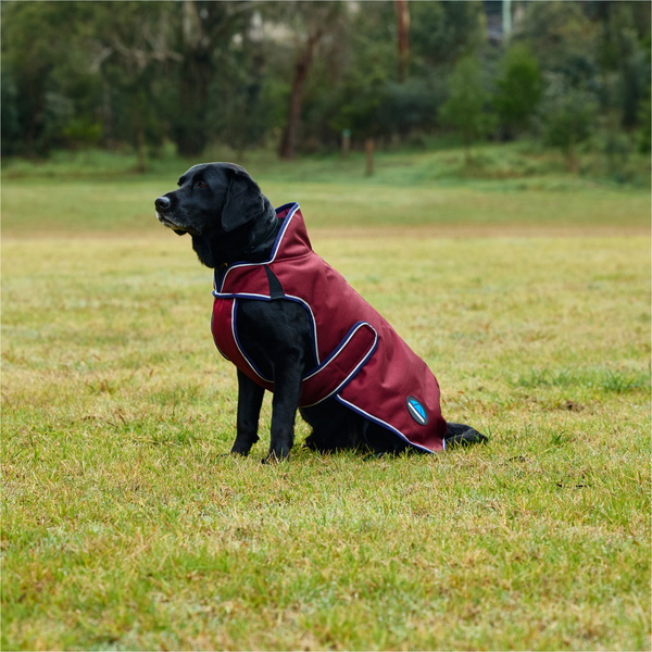2025 Weatherbeeta Comfitec Premier Deluxe Waterproof Dog Coat 1028800 - Burgundy